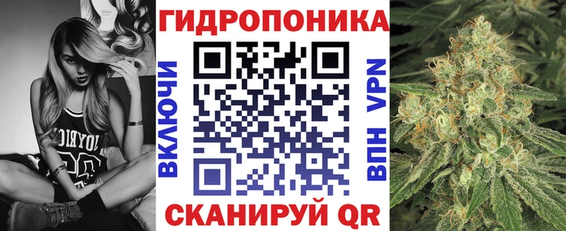 как найти закладки  Благодарный  Конопля SATIVA & INDICA 